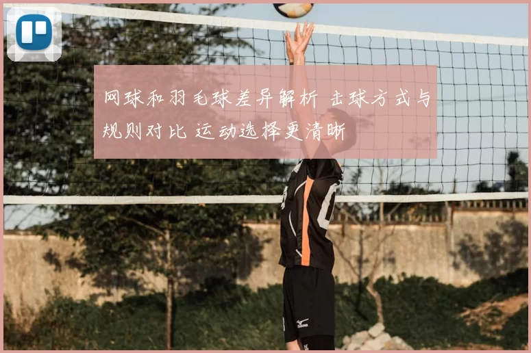 网球和羽毛球差异解析 击球方式与规则对比 运动选择更清晰