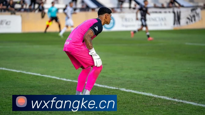 数据防护可视化